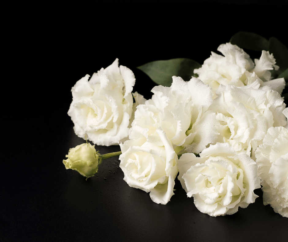 Understanding the Cremation Process