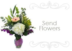 banner widget flowers