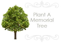 banner widget tree