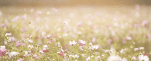 Funeral Home Resources