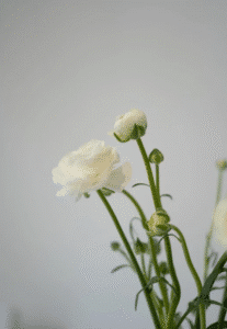 Funeral Home Resources Funeral Home Resources
