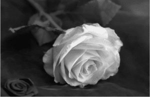 Funeral Home Resources Funeral Home Resources